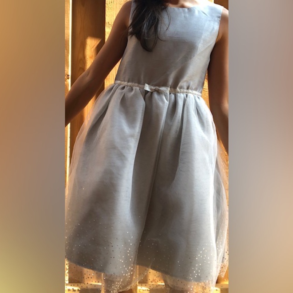 Dress(Gymboree)